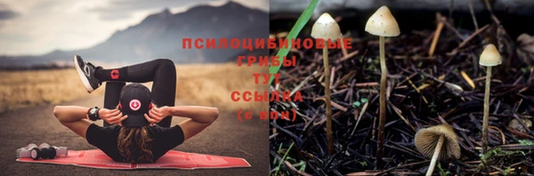 гашишное масло Анива