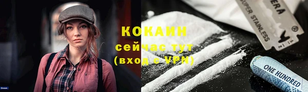 ПСИЛОЦИБИНОВЫЕ ГРИБЫ Белоозёрский