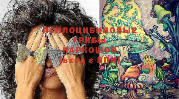 a pvp Апатиты