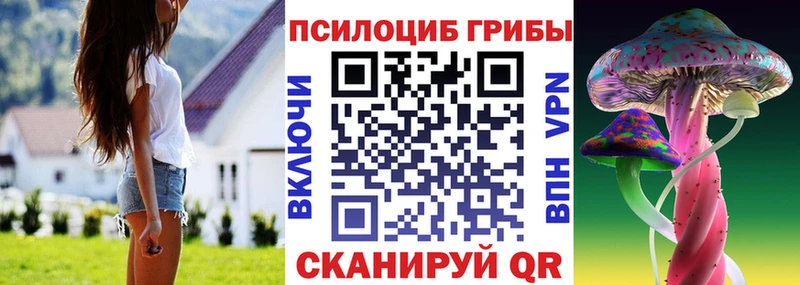 omg зеркало  Белёв  Галлюциногенные грибы Psilocybine cubensis  купить наркоту 